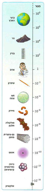 (בספר איור, היעזר במנחה)
